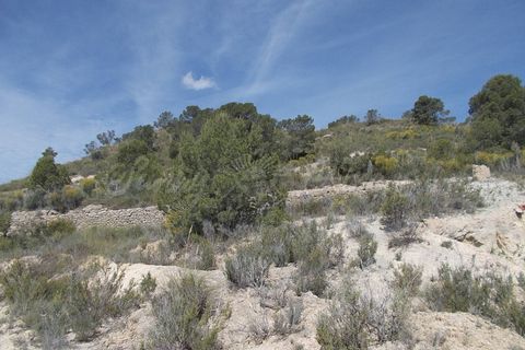 Cave house i Abanilla, Murcia, Abanilla - € 49.000 | Ref: SF0070 - foto 11
